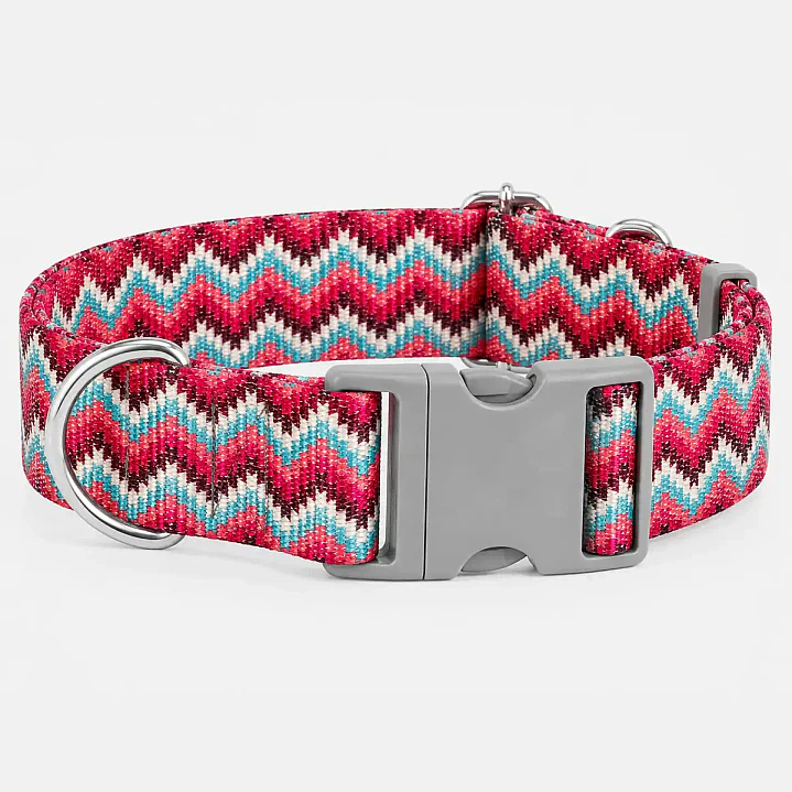 Kit Perro Bienvenida Talla XXL Cama Collar Arnés Correa 8