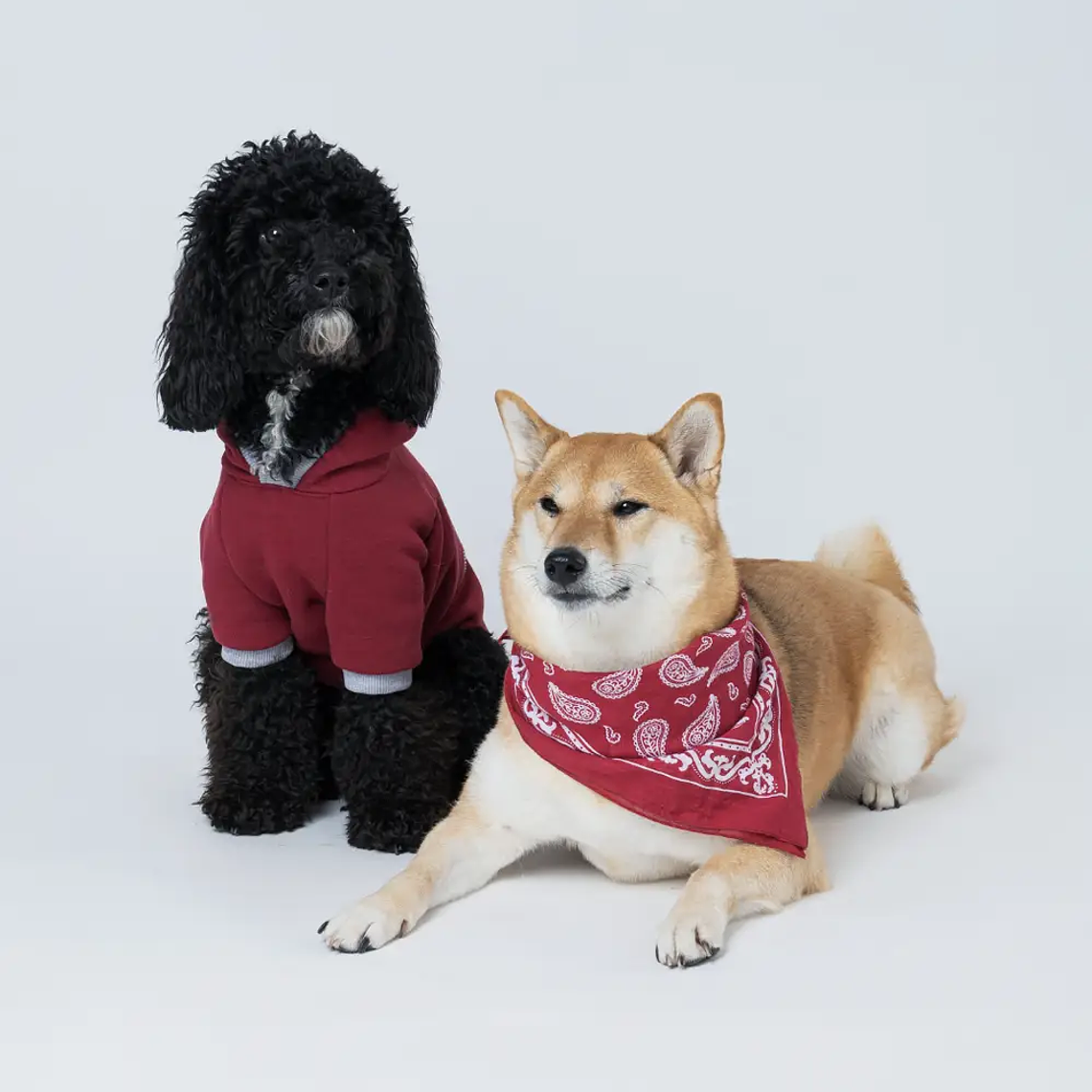 Ropa de demostración 1