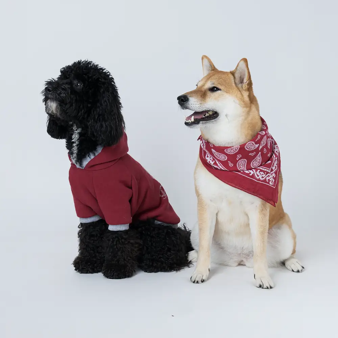 Ropa de demostración 3