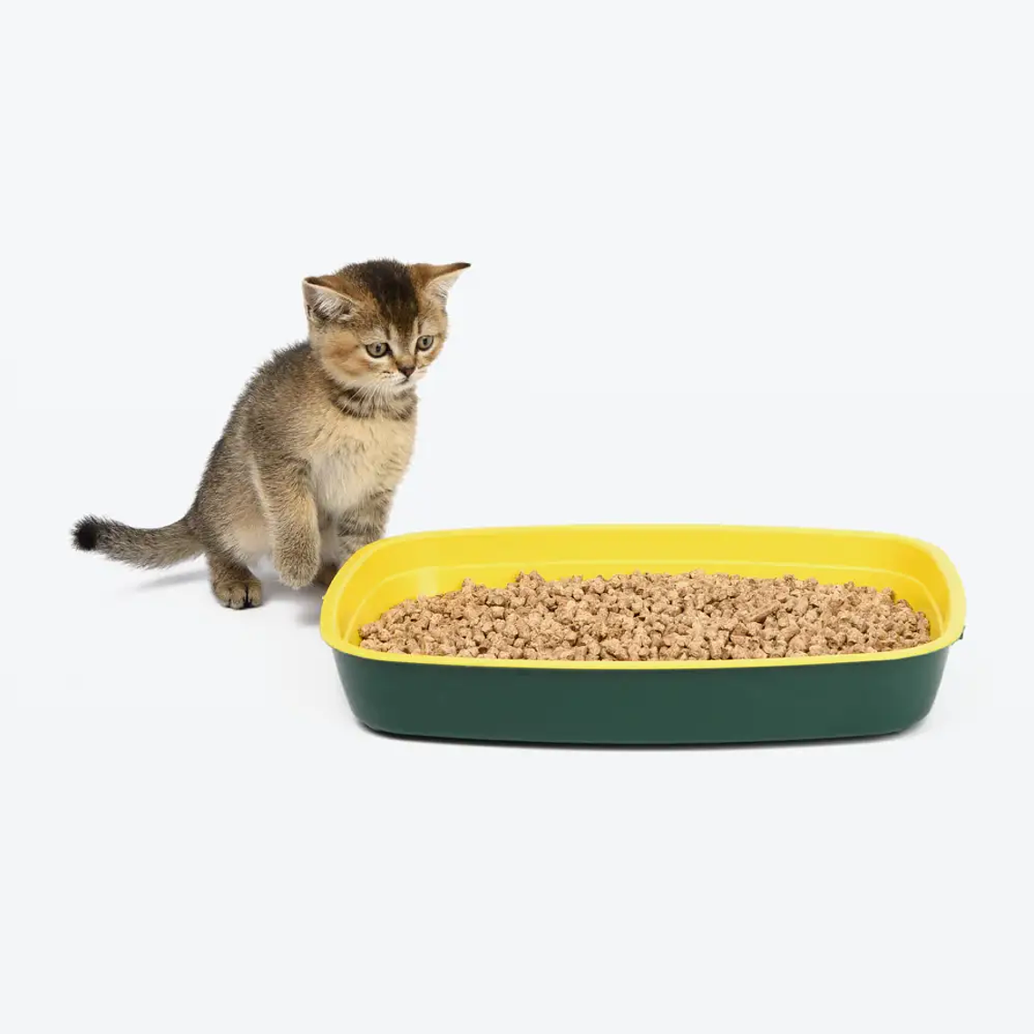 Demo - Litter (gato) 3