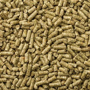 Mazuri Alimento para Cuy Adulto 1 kilo – Nutrición Completa y Balanceada para Cobayos