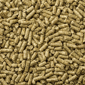 Mazuri Alimento para Cuy Adulto 1 kilo – Nutrición Completa y Balanceada para Cobayos