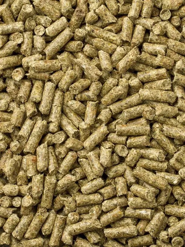 Mazuri Alimento para Cuy Adulto 1 kilo – Nutrición Completa y Balanceada para Cobayos 2
