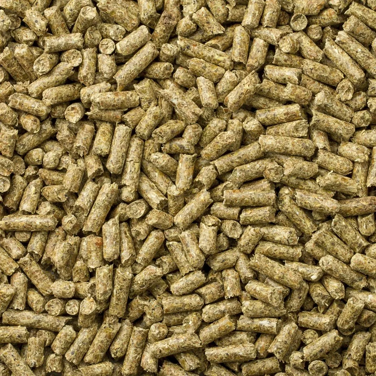 Mazuri Alimento para Cuy Adulto 1 kilo – Nutrición Completa y Balanceada para Cobayos 2