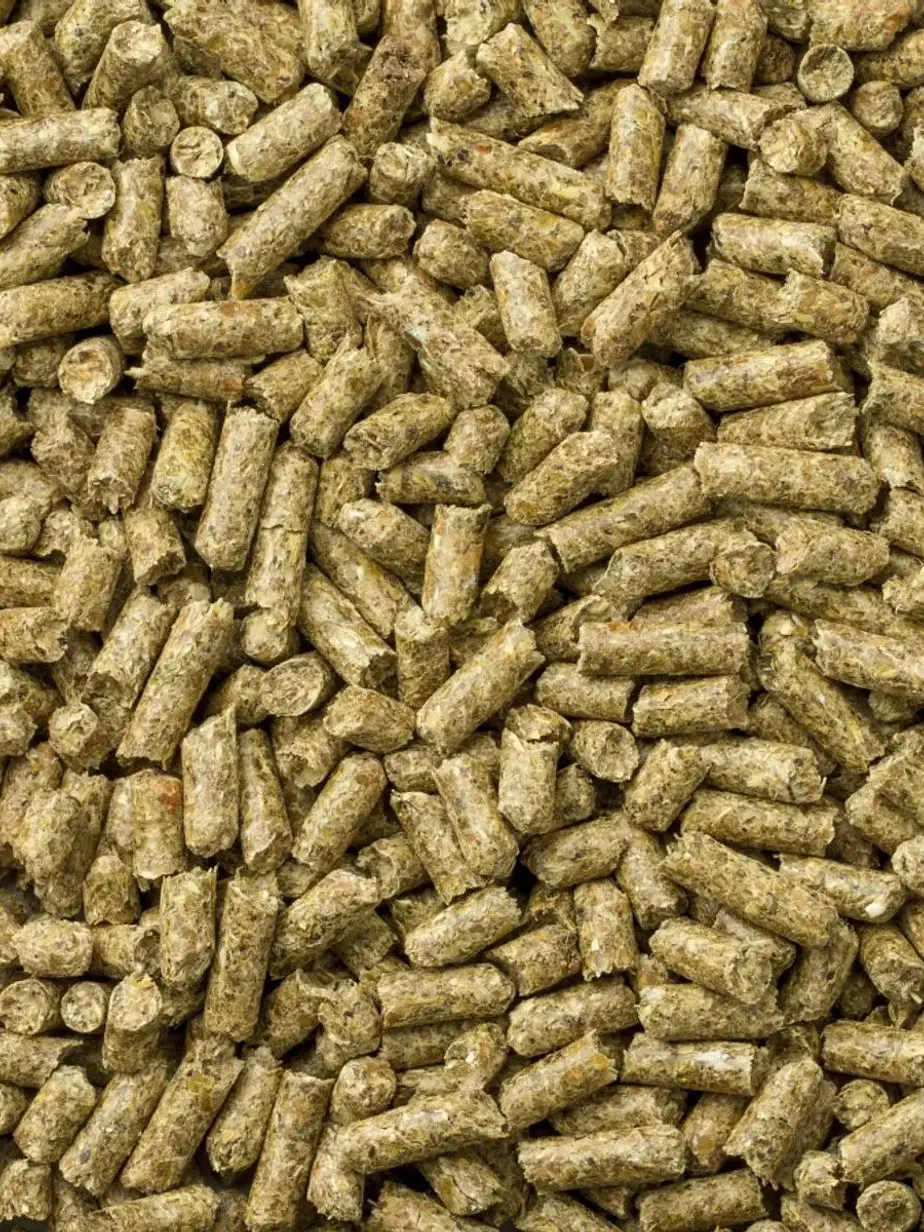 Mazuri Alimento para Cuy Adulto 1 kilo – Nutrición Completa y Balanceada para Cobayos 2