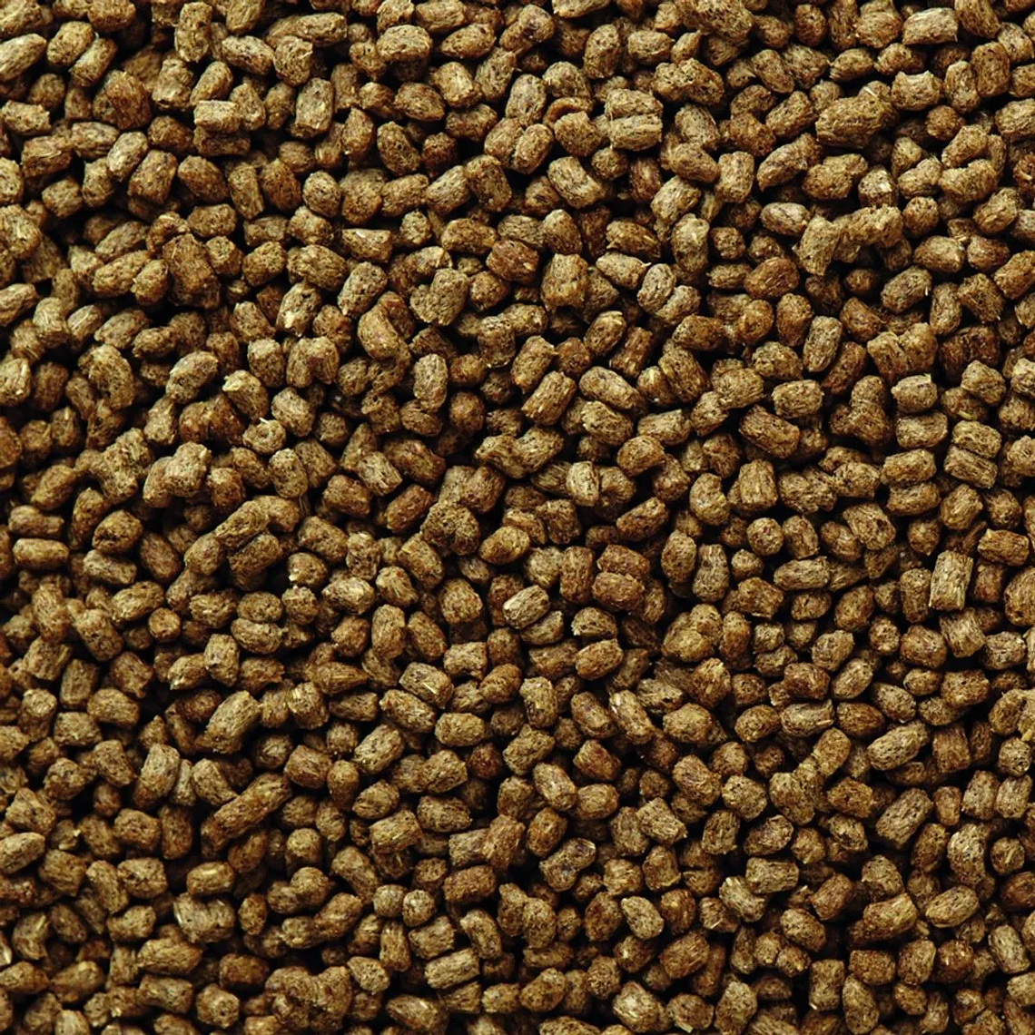 Mazuri Alimento para Erizo de Tierra 500 gramos – Nutrición Completa y Balanceada para Erizos 3