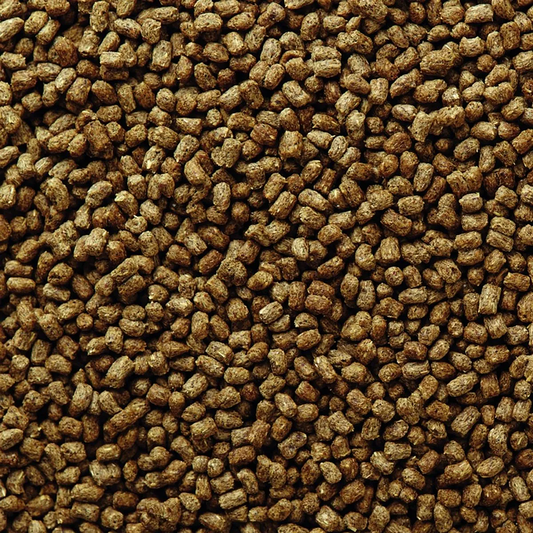 Mazuri Alimento para Erizo de Tierra 500 gramos – Nutrición Completa y Balanceada para Erizos 3