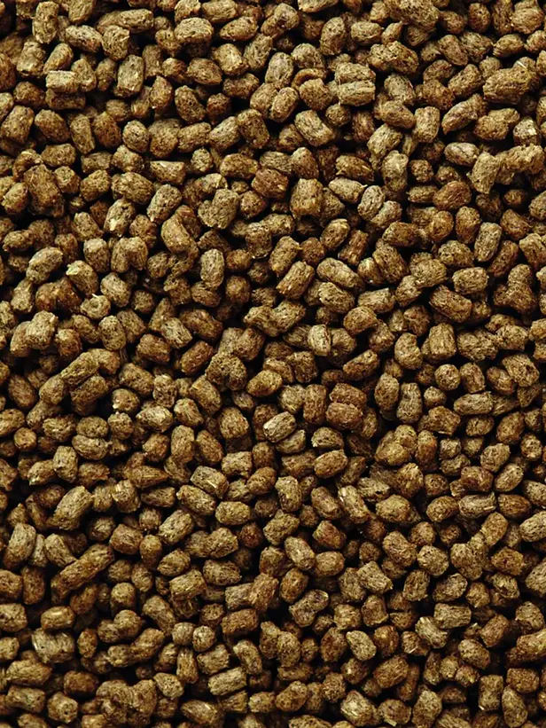 Mazuri Alimento para Erizo de Tierra 1,5 kg – Nutrición Completa y Balanceada para Erizos 3