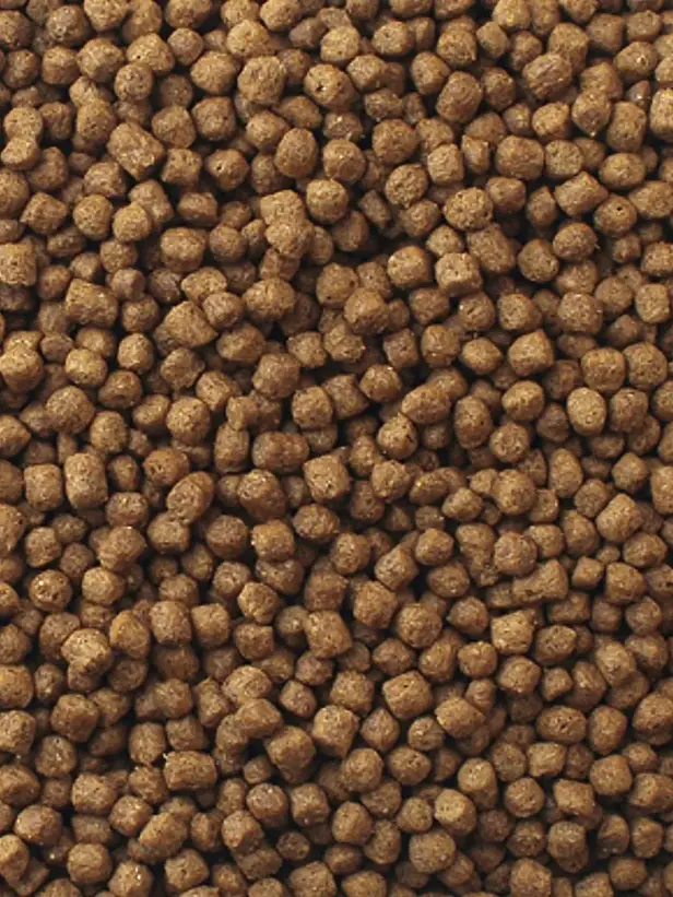 Mazuri Alimento para Tortuga Acuatica 340 Gramos 3