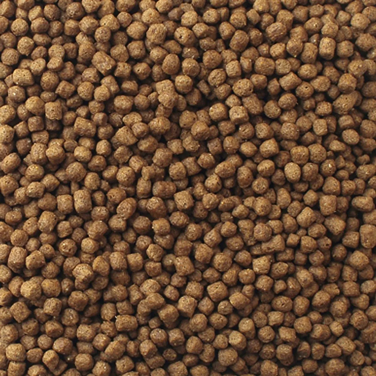 Mazuri Alimento para Tortuga Acuatica 340 Gramos 3