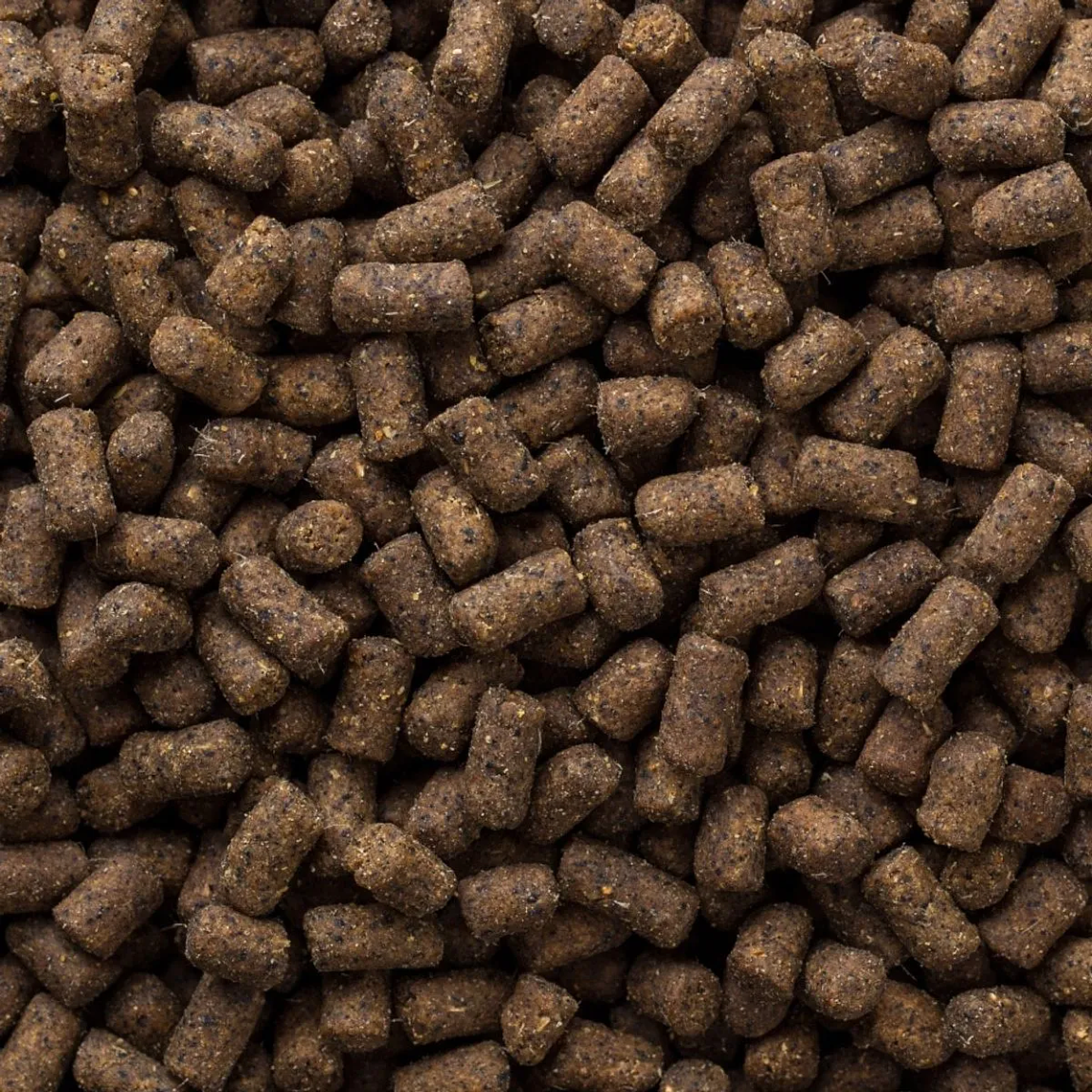 Mazuri Alimento para Ferret Huron 2,26 Kg 3