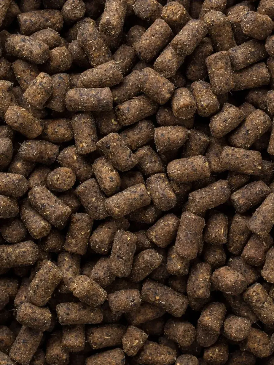 Mazuri Alimento para Ferret Huron 2,26 Kg 3