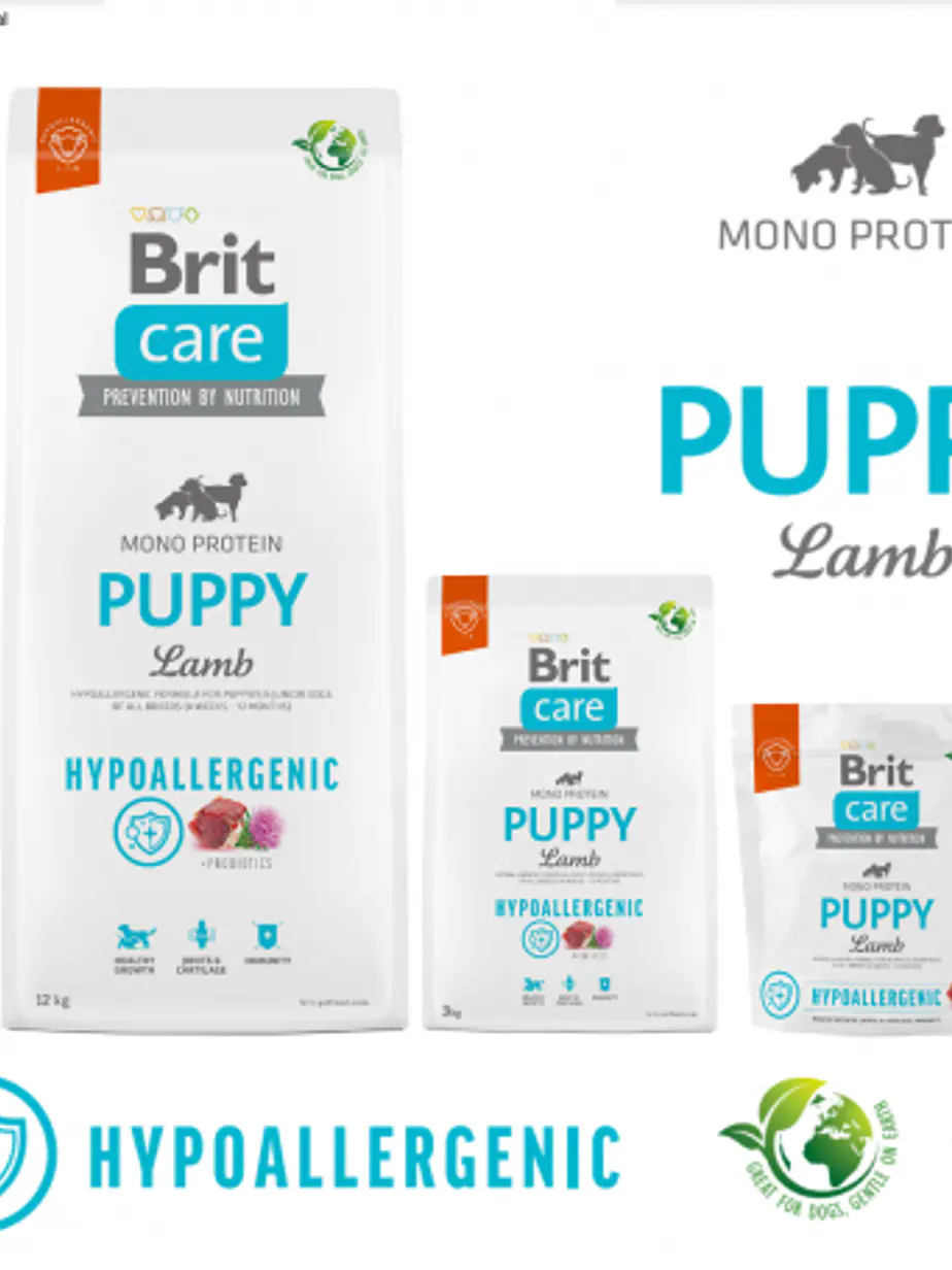 Brit Care Perro Puppy Cordero y Arroz - Alimento Super Premium  1