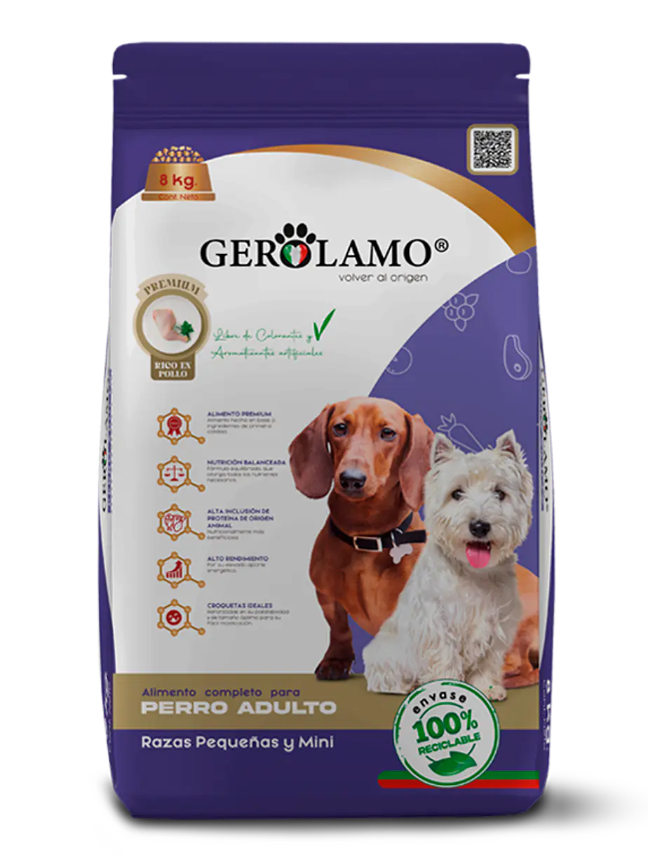 Gerolamo Perro Adulto Raza Pequeña y Mini 1