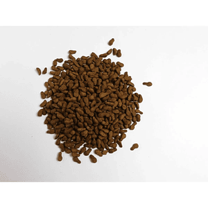 Alfa Dog Perro Adulto Raza Pequeña