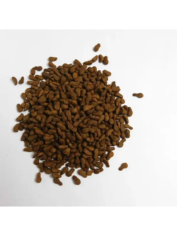 Alfa Dog Perro Adulto Raza Pequeña 2