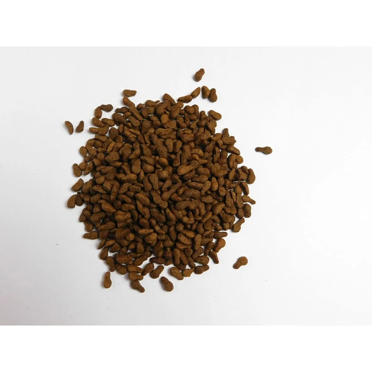 Alfa Dog Perro Adulto Raza Pequeña 2