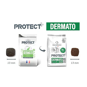Protect Veterinary Perro Dermato