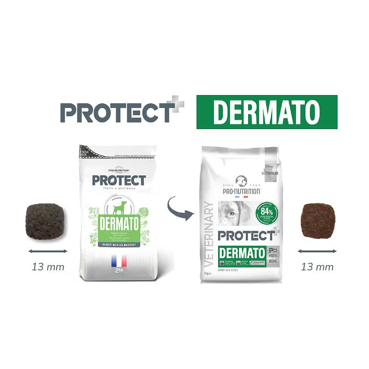 Protect Pro-Nutrition Perro Dermato 2