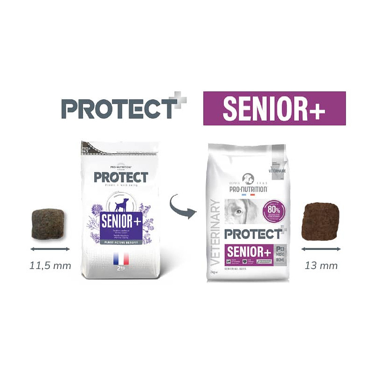 Protect Pro-Nutrition Perro Senior + 2