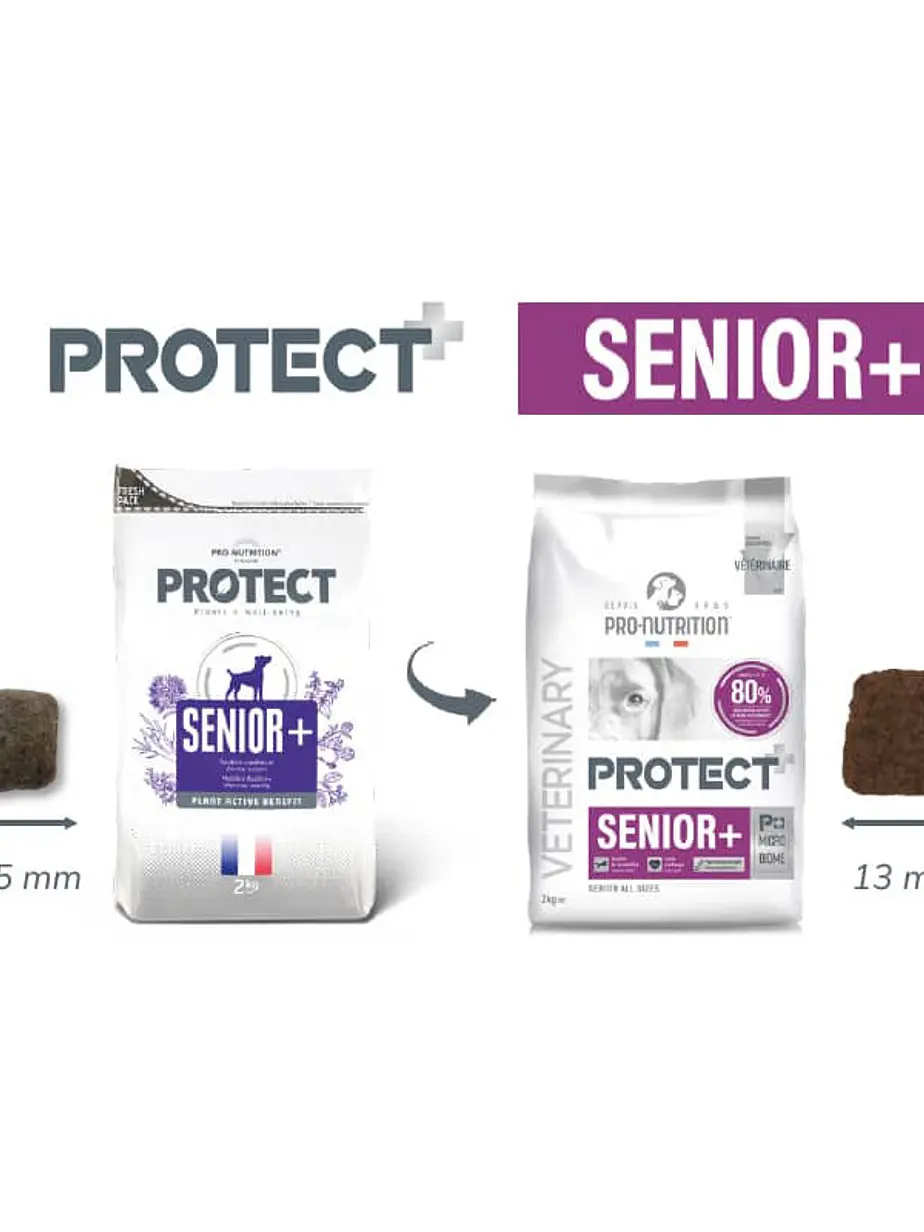 Protect Veterinary Perro Senior + 2