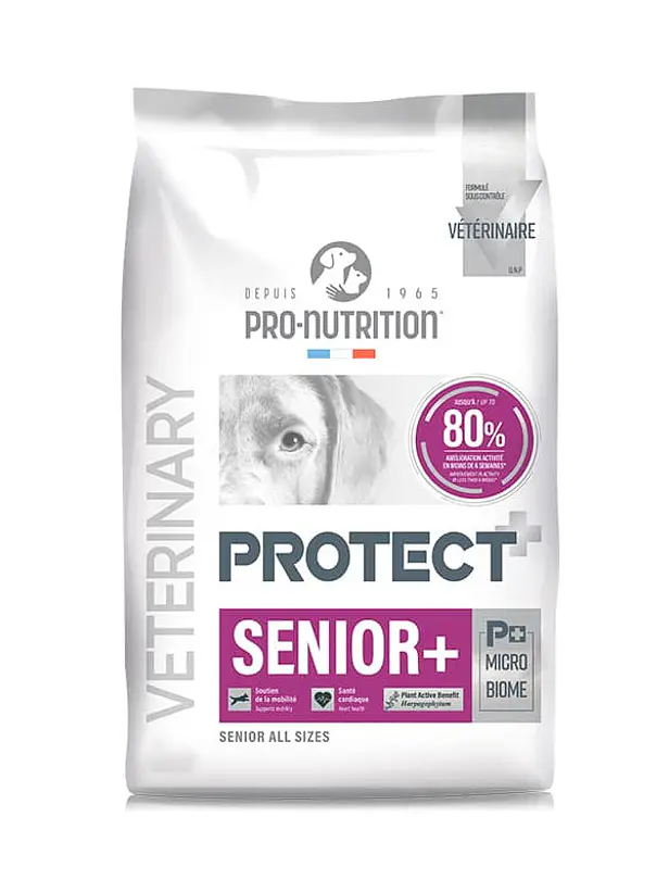 Protect Veterinary Perro Senior + 1