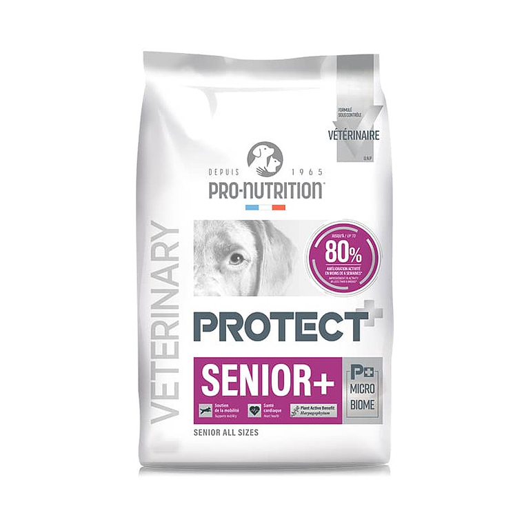 Protect Pro-Nutrition Perro Senior + 1