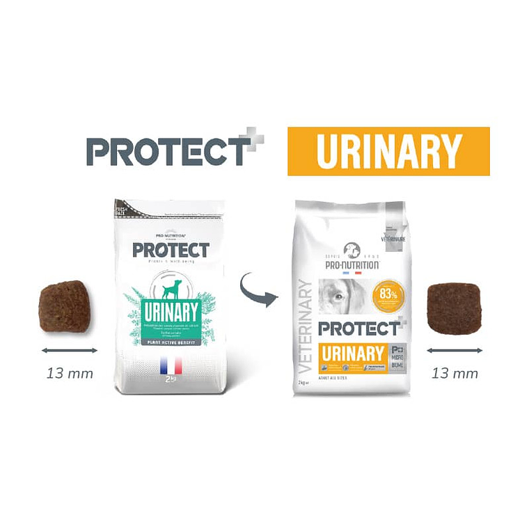 Protect Pro-Nutrition Perro Urinary 2