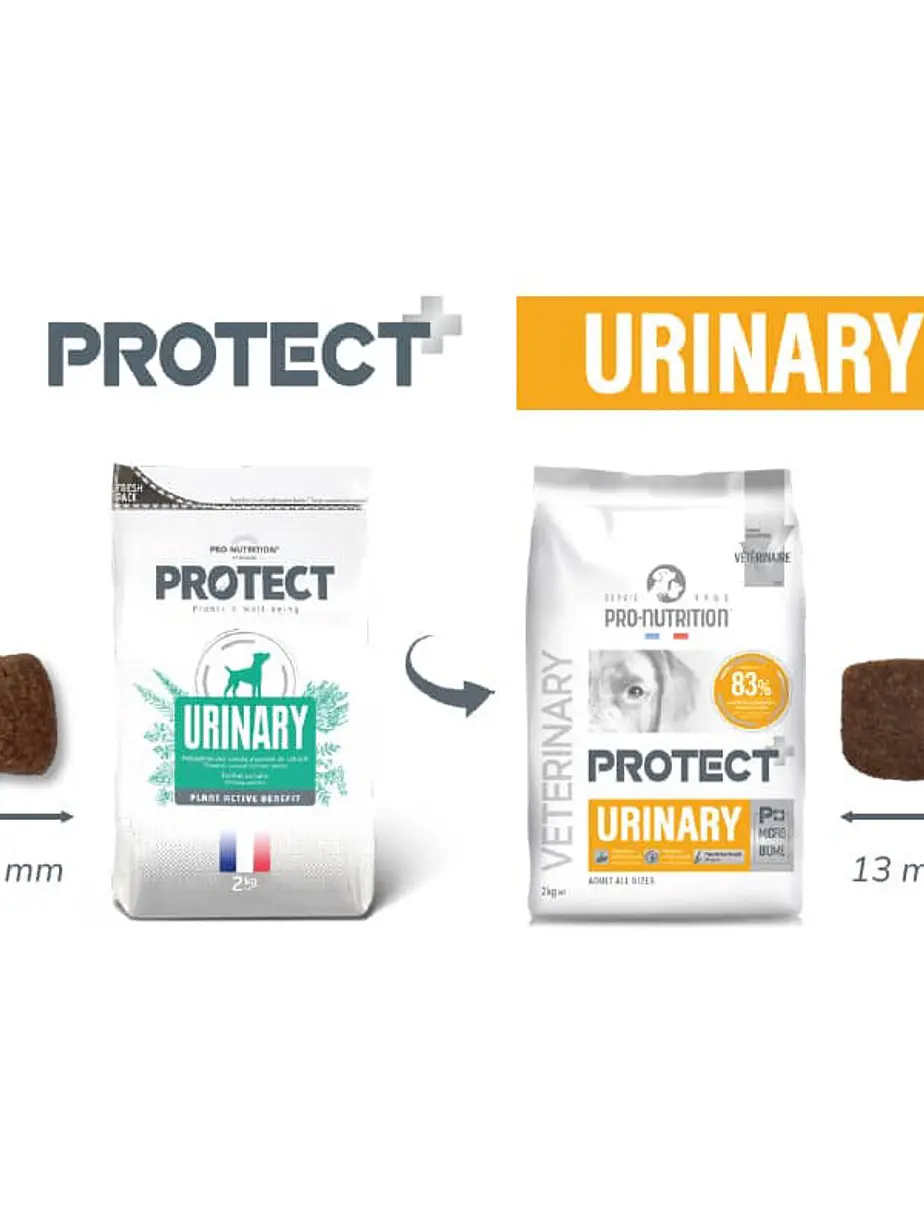Protect Veterinary Perro Urinary 2