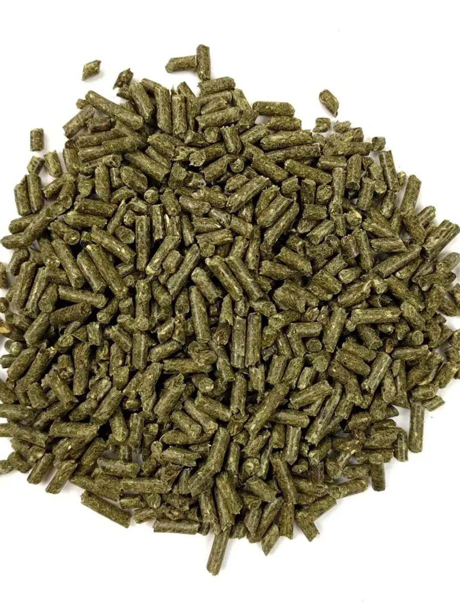 Alimento Oxbow Essentials para Cuy Adulto 2.25 Kilo - Alimento Premium Para Cuy 4