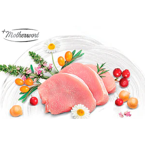 Brit Care Gato Indoor Anti-Stress- Alimento Super premiun Grain Free