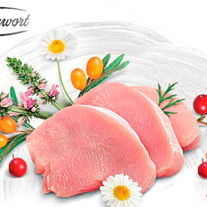 Brit Care Gato Indoor Anti-Stress- Alimento Super premiun Grain Free