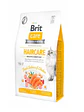 Brit Care Gato Haircare Healthy Shyni Coat- Alimento Super premiun Grain Free - Miniatura 1