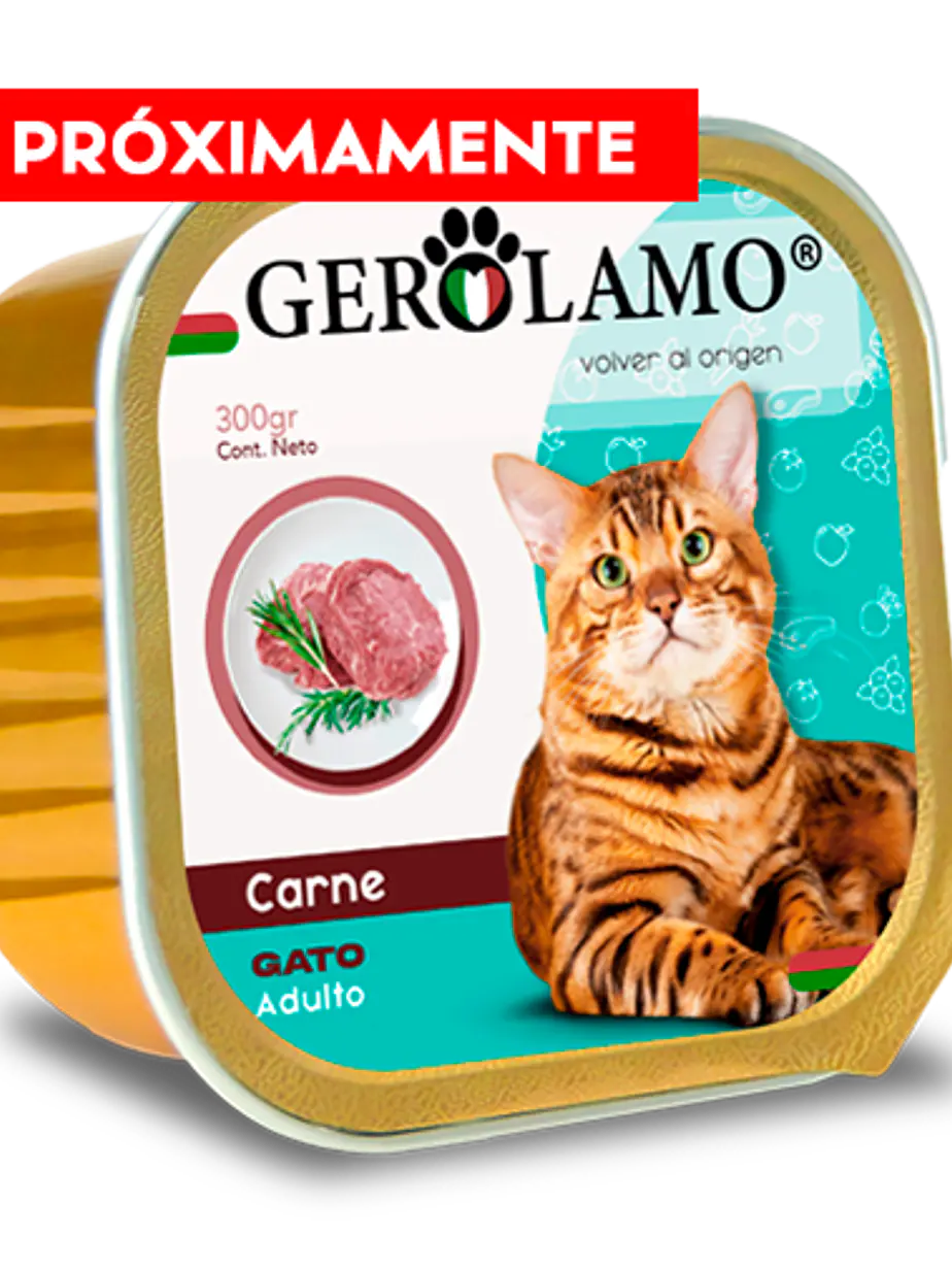 Gerolamo Pate Gato Adulto Sabor Carne - 300 Gramos - Alimento Humedo para gatos adultos 1