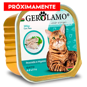 Gerolamo Pate Gato Adulto Sabor Percado e Higado - 300 Gramos - Alimento Humedo para gatos adultos