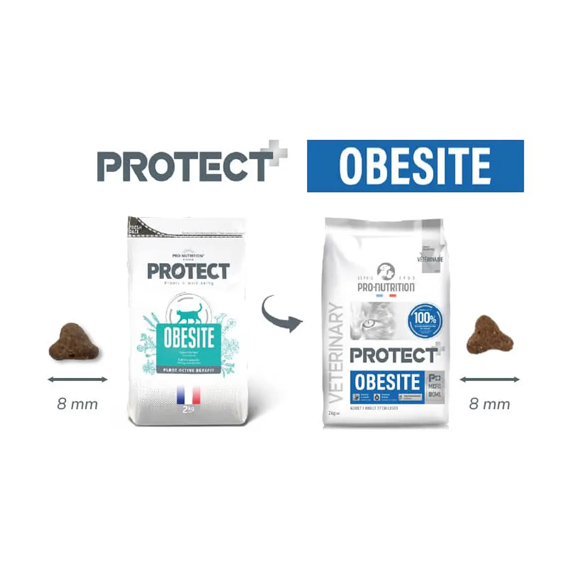 Protect Gato Obesite - Alimento Pro Nutrition 2