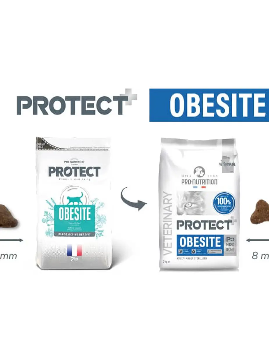 Protect Gato Obesite - Alimento Pro Nutrition 2