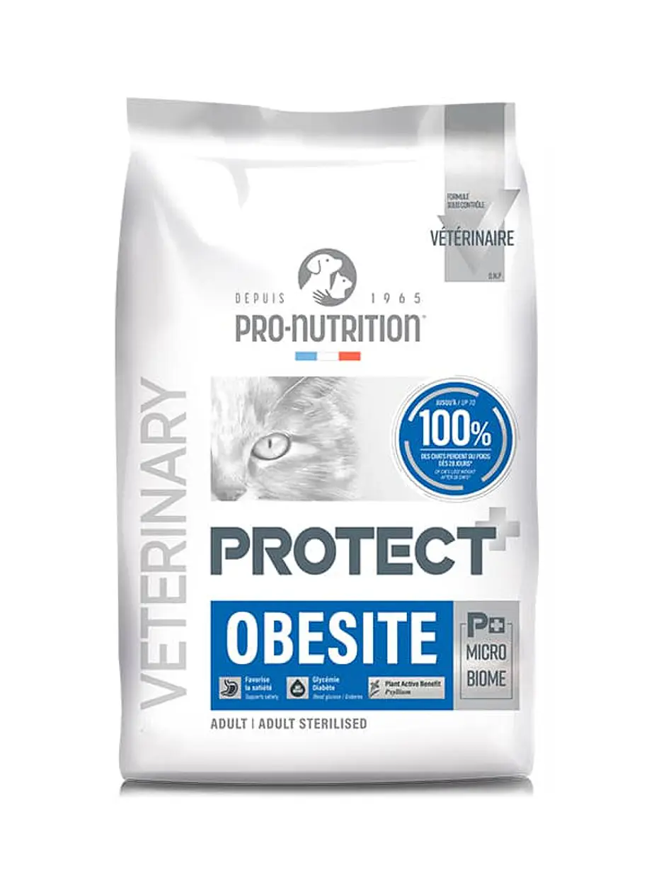 Protect Gato Obesite - Alimento Pro Nutrition 1