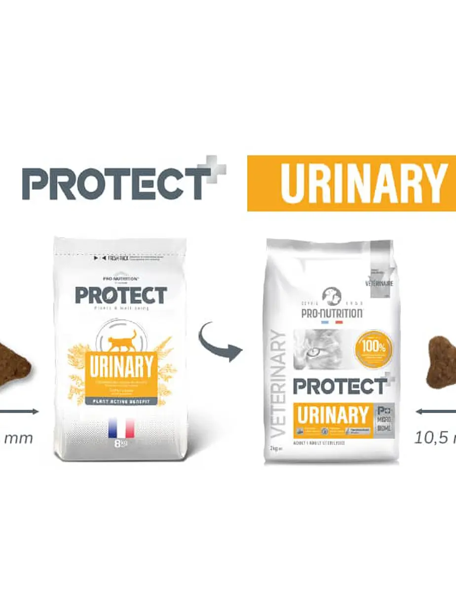 Protect Gato Urinary - Alimento Pro Nutrition 2