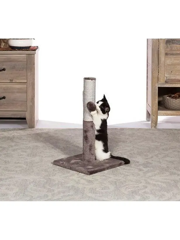 Rascador Tubo Prevue con Juguete para gatos - Rasguñador para gato 3