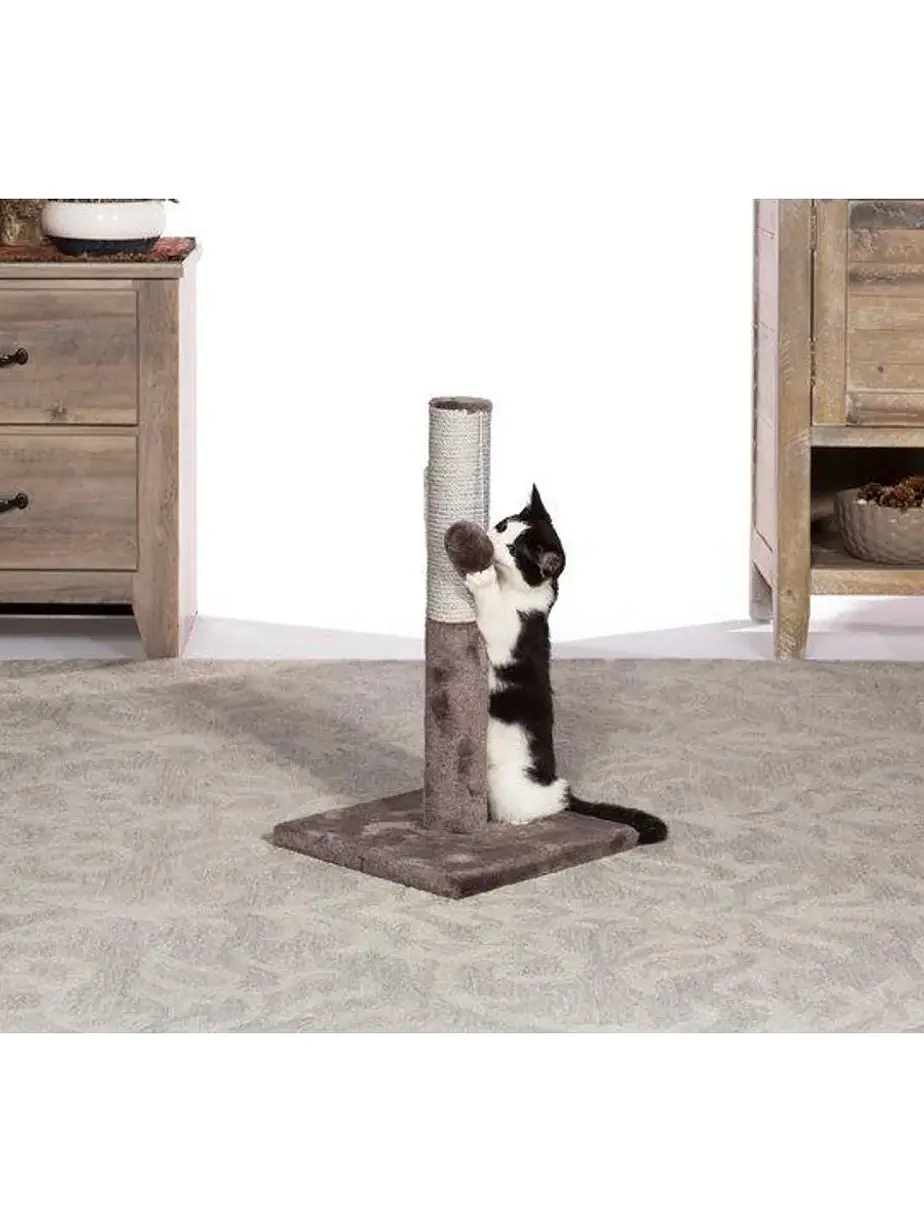 Rascador Tubo Prevue con Juguete para gatos - Rasguñador para gato 3