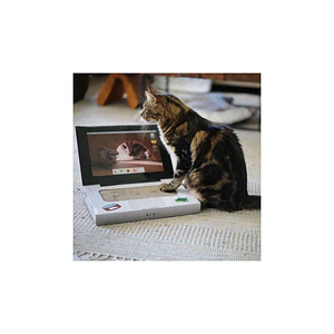 BRNX Rascador Catbook Computador - Accesorios raguñado para gatos de Carton
