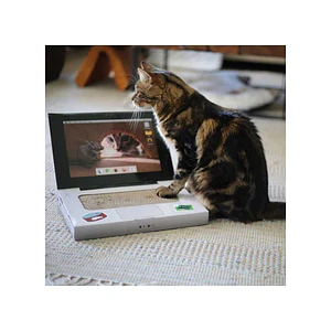 BRNX Rascador Catbook Computador - Accesorios raguñado para gatos de Carton