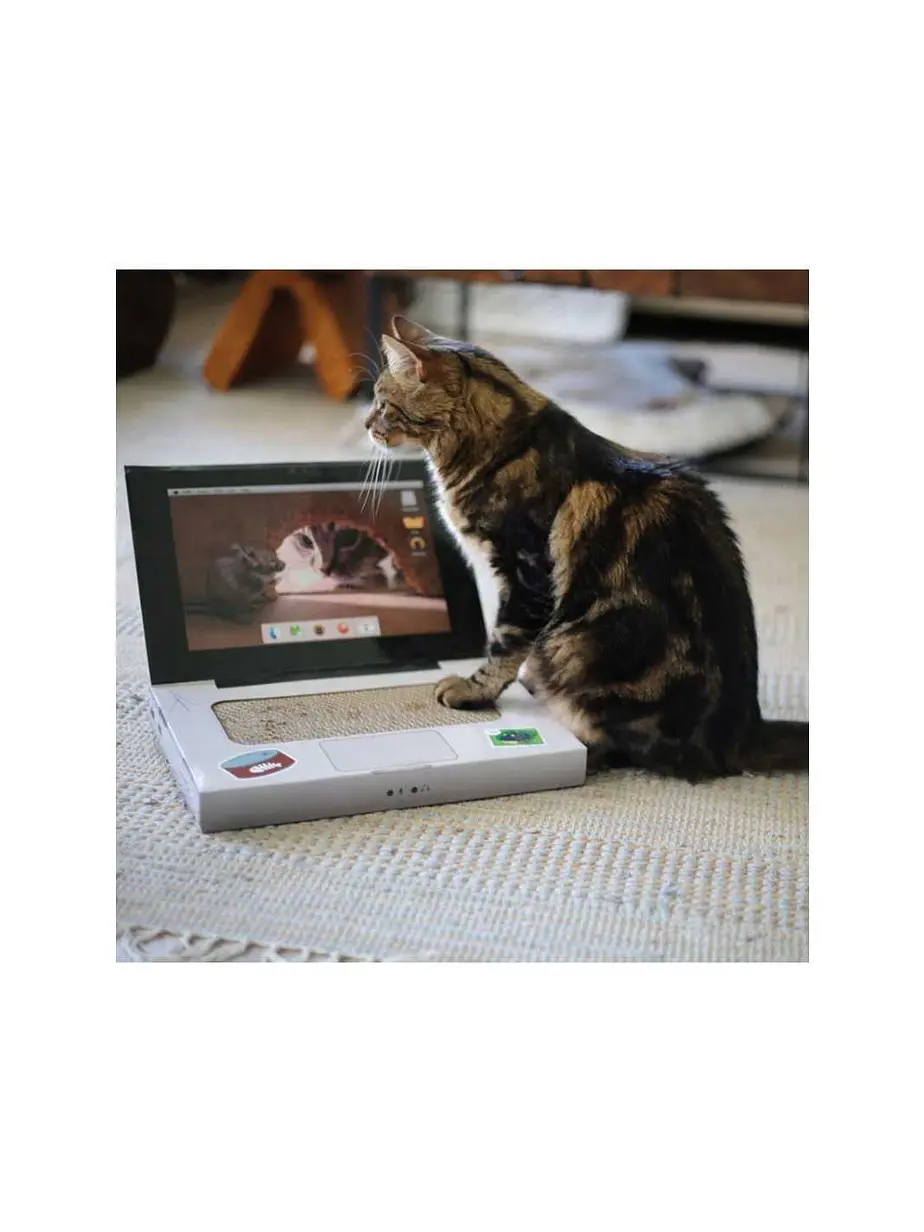 BRNX Rascador Catbook Computador - Accesorios raguñado para gatos de Carton 1