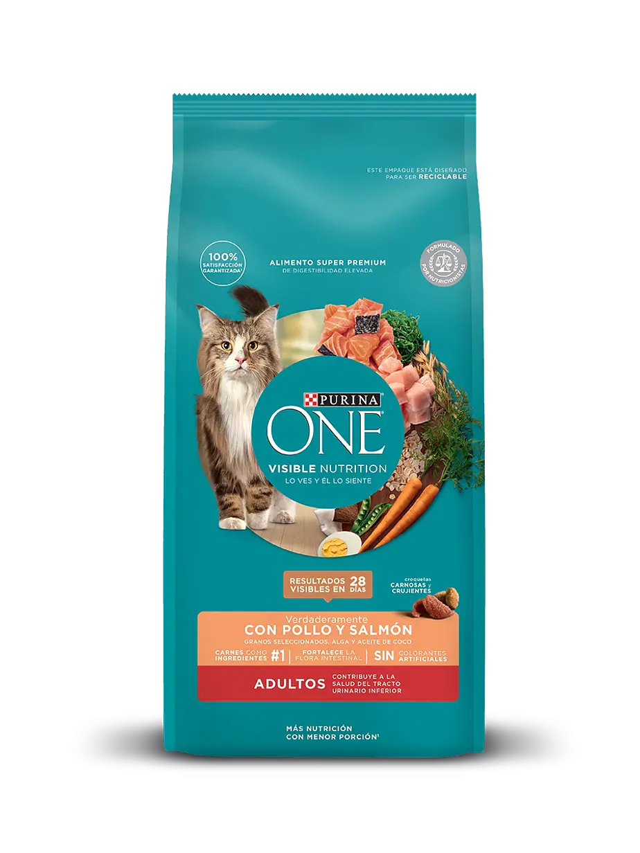 Purina One Gato Adulto Pollo y Salmon 2 Kilos 1