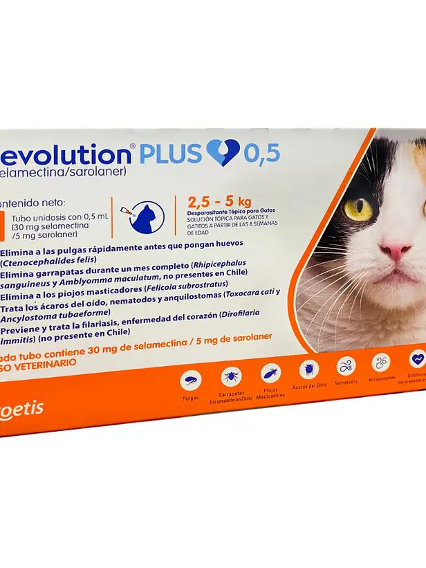 Revolution Plus Gato 2,5 hasta 5 Kilos 1