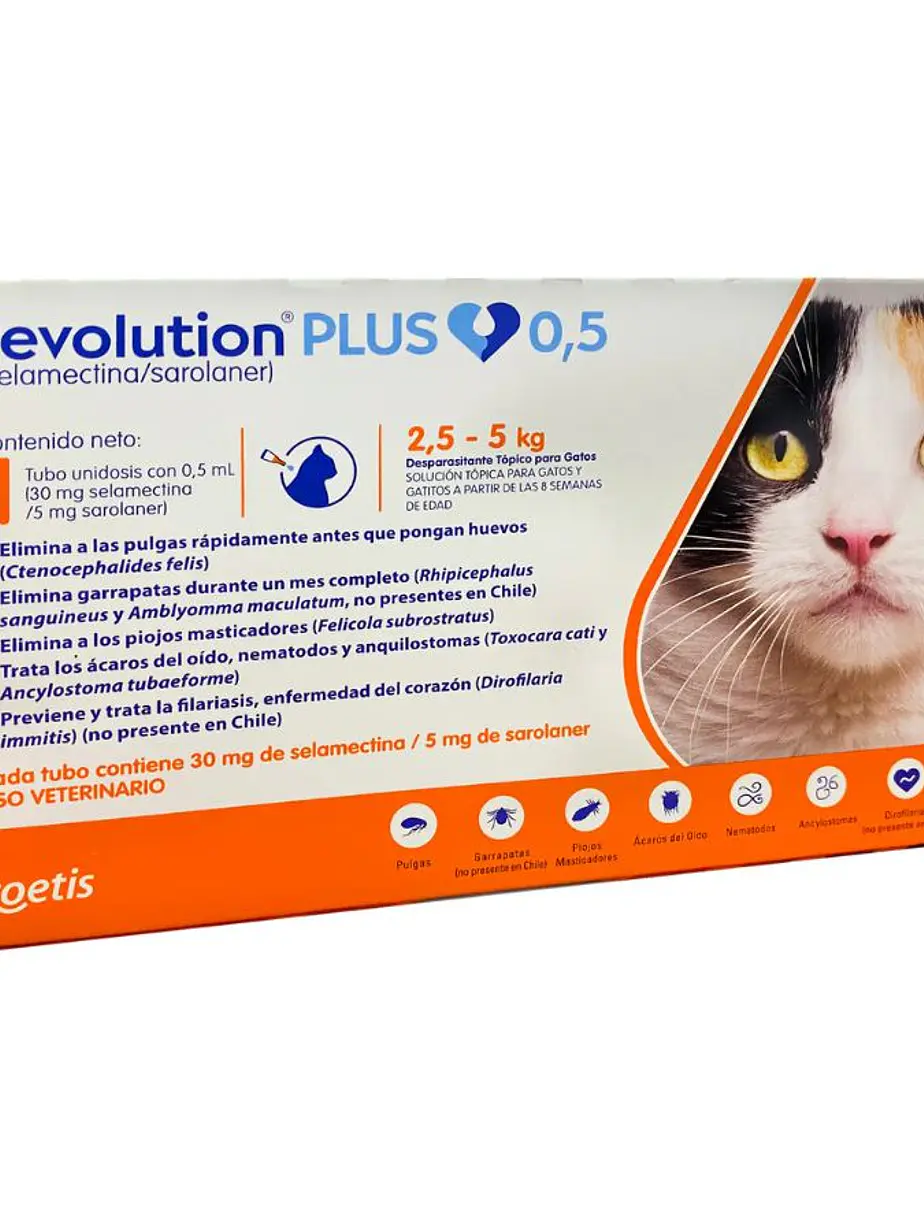 Revolution Plus Gato 2,5 hasta 5 Kilos 1