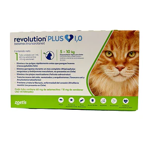 Revolution Plus Gato 5 a 10 kilos