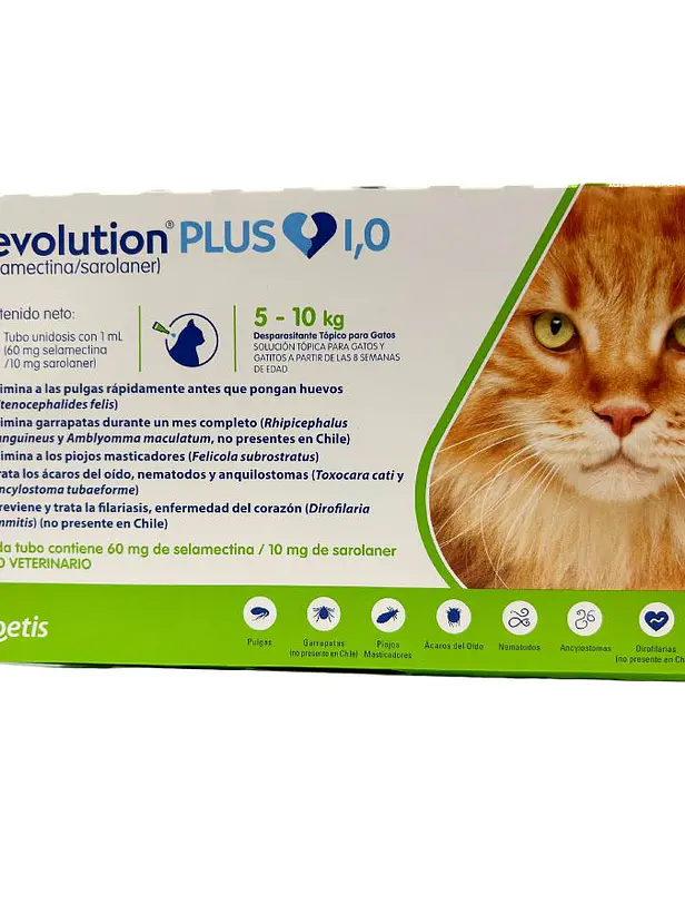 Revolution Plus Gato 5 a 10 kilos 1
