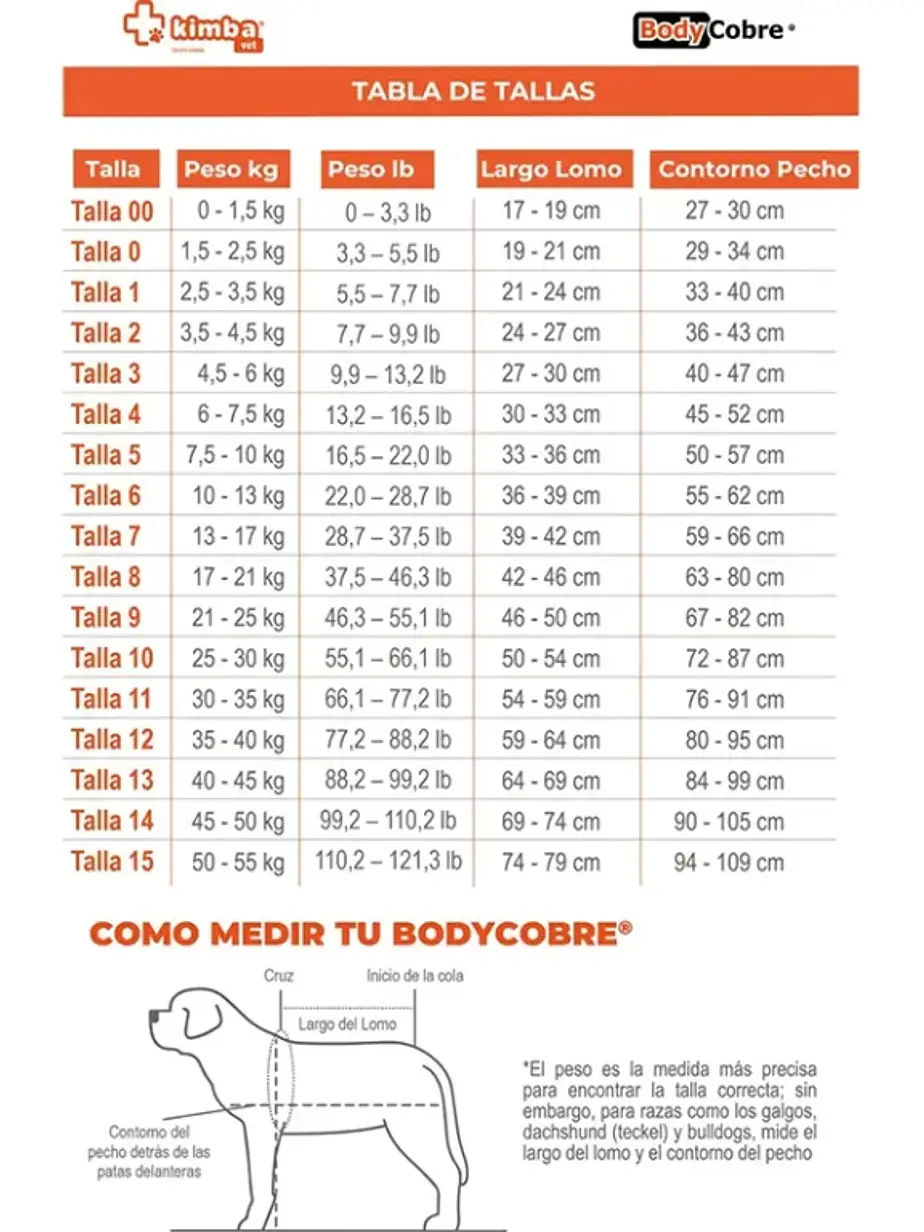 Body de Cobre - Operatorio tradicional  2